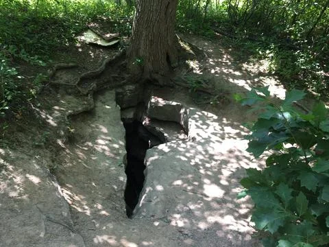 Abyss In Ground Next to Tree 库存照片