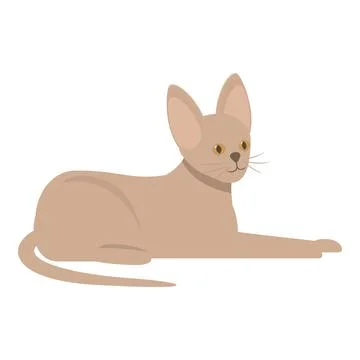 Abyssinian cat is lying down and relaxing at home Illustrazione stock