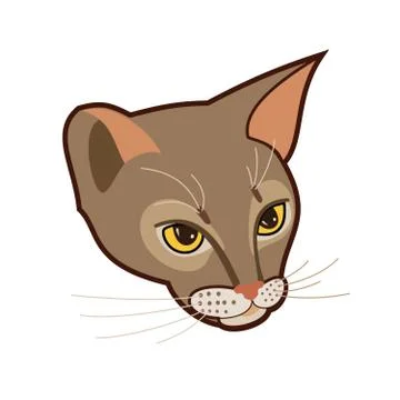 Abyssinian cat vector head isolated illustration. Close up portrait of blue a Stock Illustration