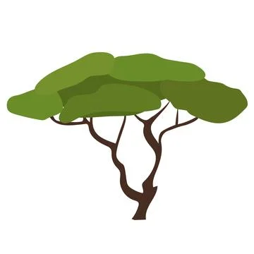 Aca tree isolated Stock Illustration
