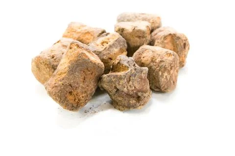 Acacia catechu on white background Stock Photos