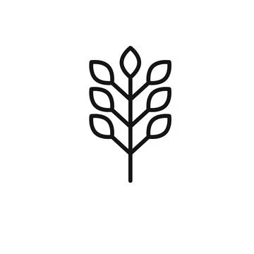 Acacia icon logo sign vector outline Stock Illustration