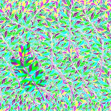 Acacia Illustrazione stock