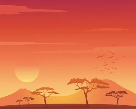 Acacia tree Stock Illustration