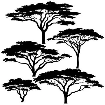 Acacia tree silhouettes Stock-Illustration