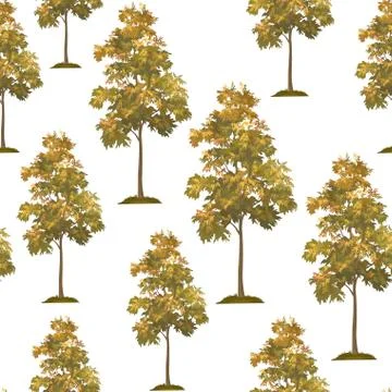 Acacia Trees Seamless Stock Illustration