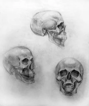 Academic drawing pencil Stock Illustration