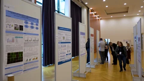 Academic Poster Session with Participants at Research Conference Stock Footage 334775256