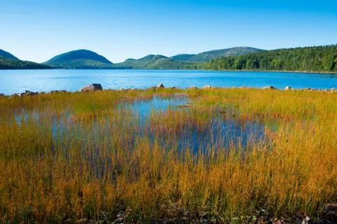 Acadia Marsh B Stock Photos