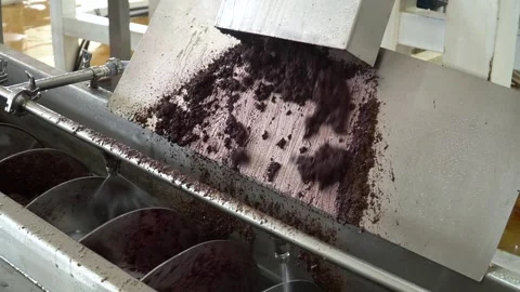 Acai berries being processed in a modern food industry factory. Organic açaí Vidéo 196157071