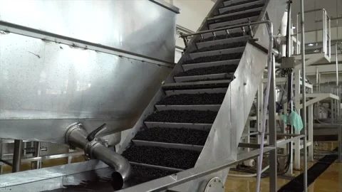 Acai berries being processed in a modern food industry factory. Organic açaí Stock Footage 196157115