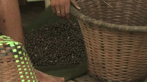 Acai Berry 1 Video stock 19242385