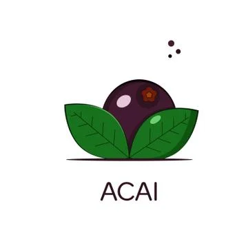 Acai berry Stock Illustration