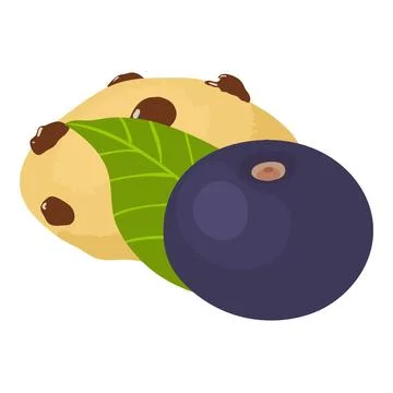 Acai dessert icon isometric vector. Ripe acai berry and chocolate chip cookie Stock Illustration