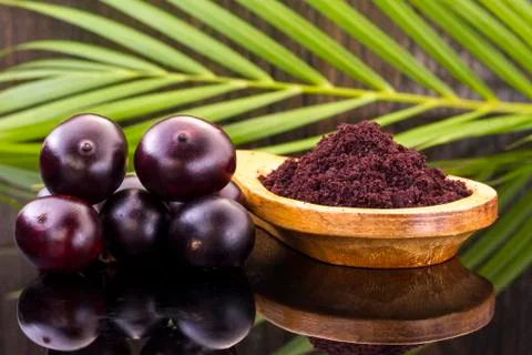 Acai fruit, fruit of Amazonian origin are attributed many medicinal propertie Foto stock