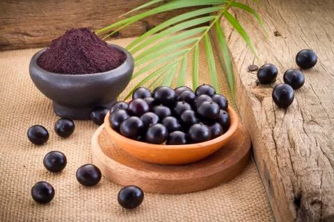 Acai fruit, fruit of Amazonian origin are attributed many medicinal propertie Stock Photos
