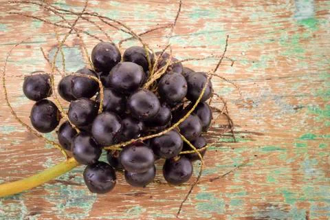Acai fruit, fruit of Amazonian origin are attributed many medicinal propertie Stock Photos