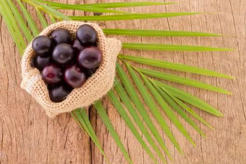 Acai fruit, fruit of Amazonian origin are attributed many medicinal propertie Stock Photos