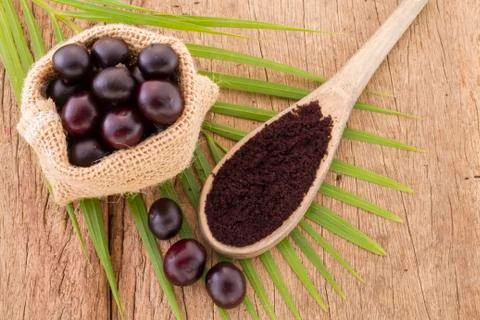 Acai fruit, fruit of Amazonian origin are attributed many medicinal propertie Stock Photos