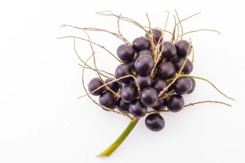 Acai fruit on a white background   (Euterpe Oleracea) Stock Photos