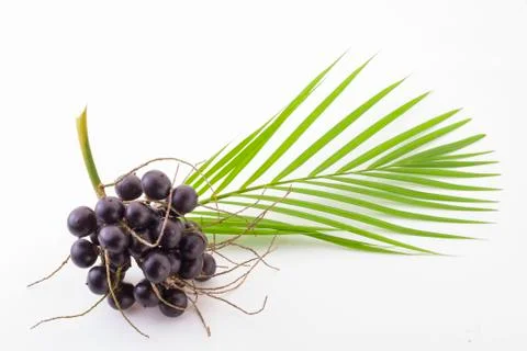 Acai fruit on a white background   (Euterpe Oleracea) Stock Photos
