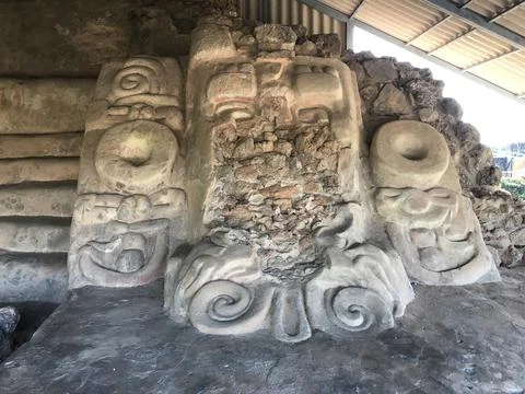 Acancehdig1 Stock Photos