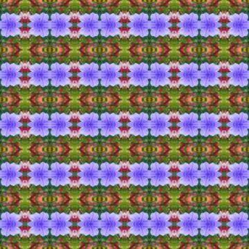 Acanthaceae flower abstract background Stock Illustration