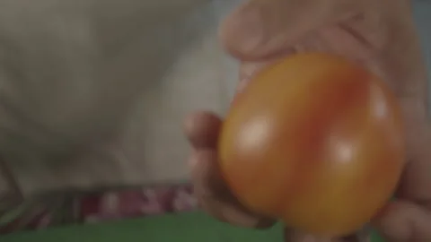 Acarajé frito no azeite de dendê da baiana de acarajé Video stock 169027853