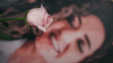 Accelerated shooting of the opening of the rosebud, vertical shooting Stock Footage 172475025