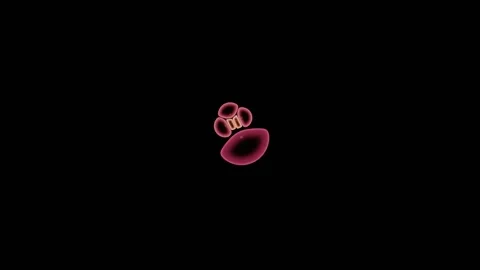 Accelerated Time Lapse Of A Colony Growing To Confluence Stock Footage 344513210