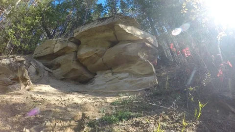 Accelerated video of the movement of grass and leaves of trees in the forest Stock Footage 113323344