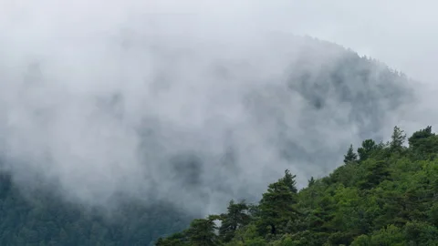 Accelerated view of the movement of fog on the mountain.Time Lapse. Video stock 302497379