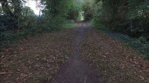 Accelerating away on a wooded path Stock Footage 68543131