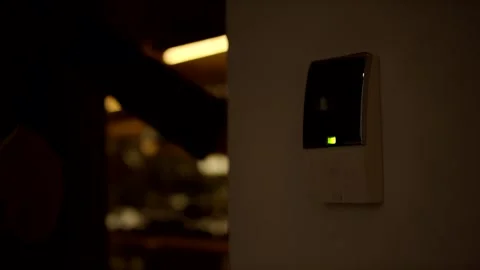 Access Control Reader with Green Indicator Light, Dim Entrance Hall, Close Up Vidéo 341346344