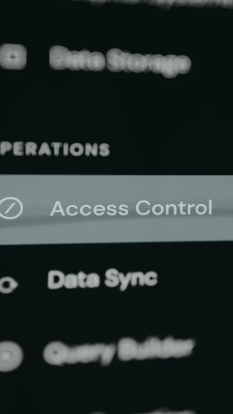 Access Control section form a UI menu for a database Video stock 332054342
