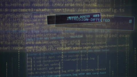 Access Denied 403 Error Cybersecurity Digital Background Stock Footage 335360037