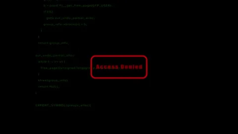 Access Denied: Animated Text in Programming Language Style. Stock Footage 286143030