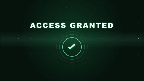 Access Granted Digital System Security Authorization Verification Display Stock Footage 332695319