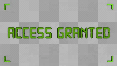 Access Granted Stock Footage 316690031