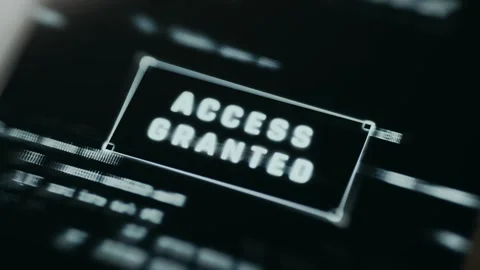 ACCESS GRANTED message, successful system authorization Stock Footage 334922393
