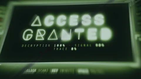 ACCESS GRANTED screen, cybersecurity concept Stock Footage 335871580