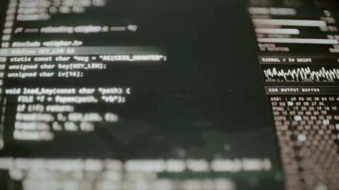Access granted source loads 32 byte encryption key Stock-Footage 347056405