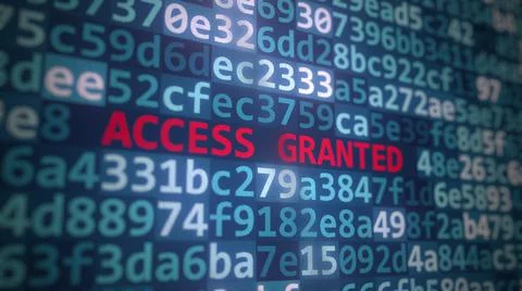 ACCESS GRANTED text and program code on the computer screen. 3D rendering Stock Illustration