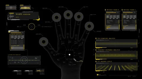 Access granted text on screen, successful login, fingerprint match found Stock-Footage 117134591
