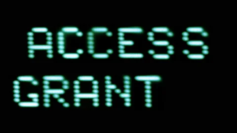 Access granted written on computer screen Stock Footage 231599022