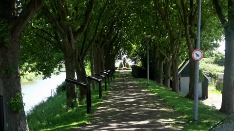 Access path to the cemetery of the flood disaster in Oude Tonge Video stock 292222100