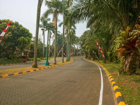 The access road to the housing complex Foto stock