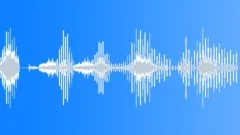 Accessing audioSound Effect