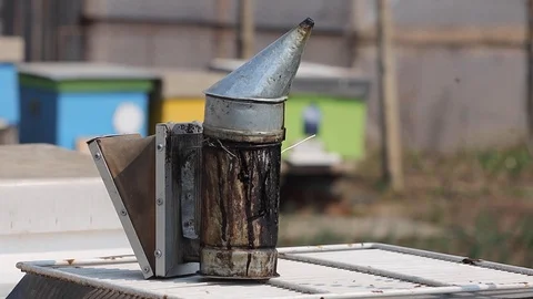 Accessories for bees worker Stock Footage 127526705