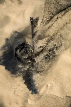 Accessories of a knight isolated on the sand during the day. Conceptual image Stock Photos